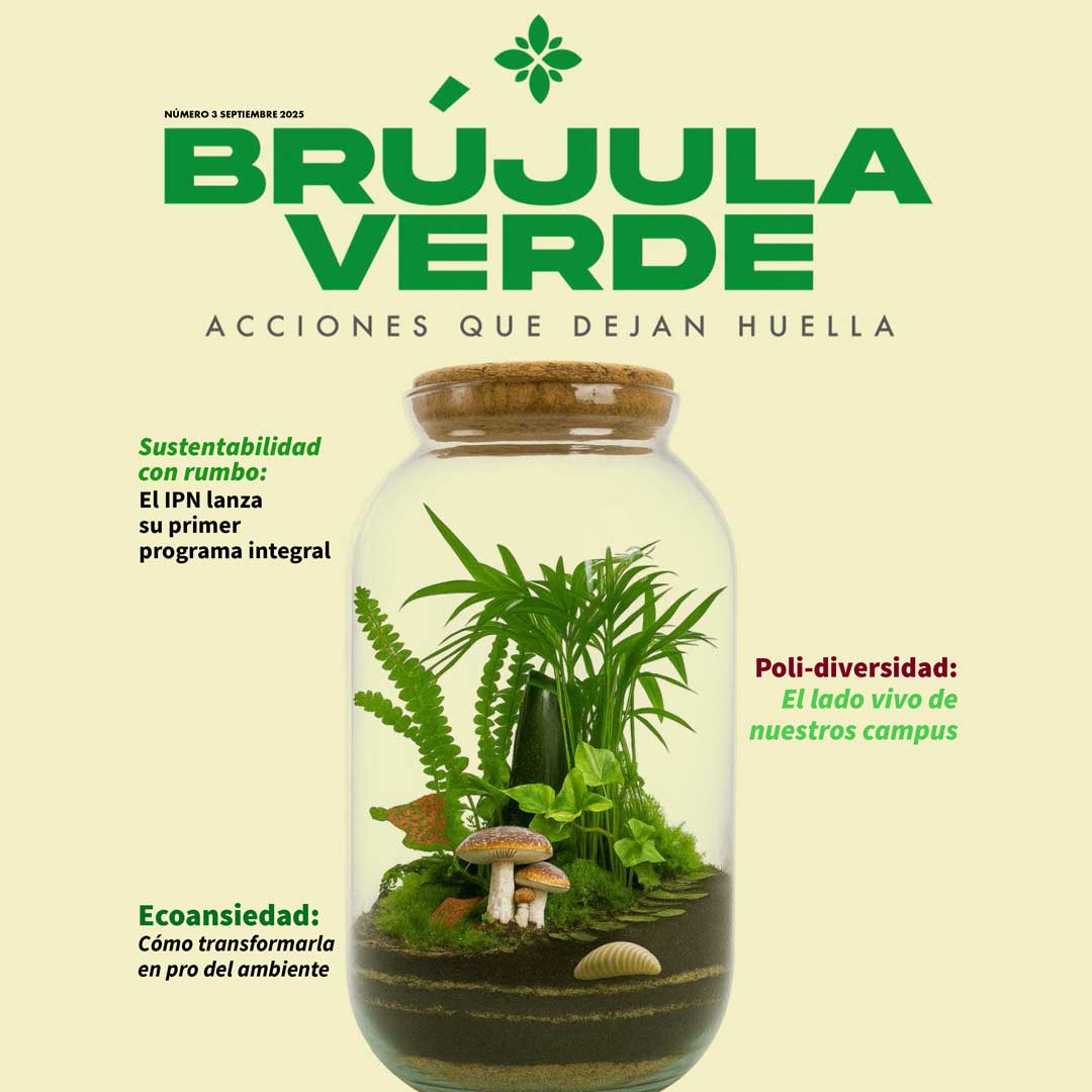 Revista digital Brújula verde
